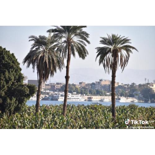Nanis Guest House Nile View