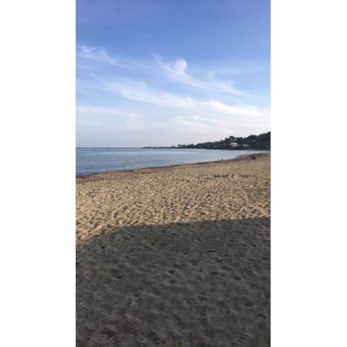 Nartelle 26
