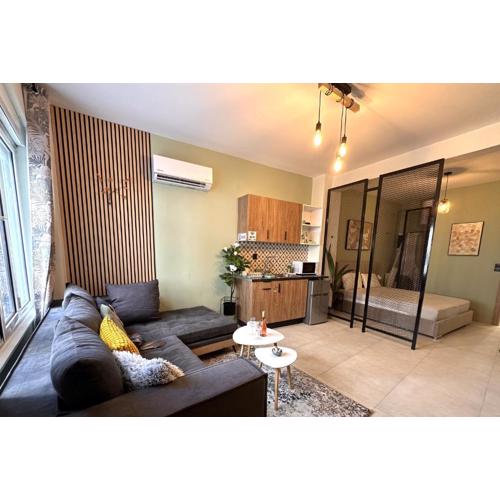 Natinal Garden and Panathenaic Stadium area Moden Cozy Apartment A