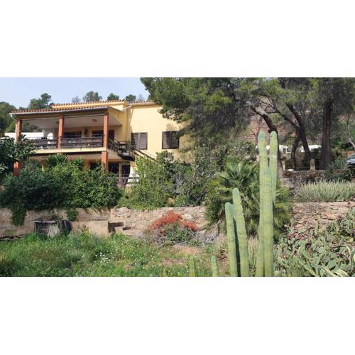 Nature lovers home