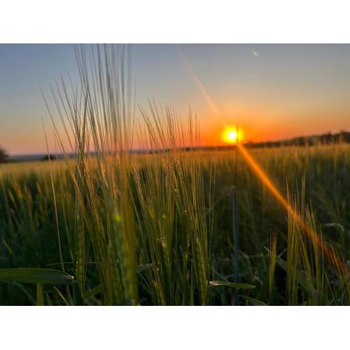 Pleven Province