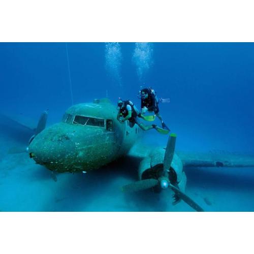 Neptune Dive Club