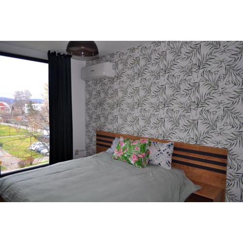 New Apartment at a Great Location