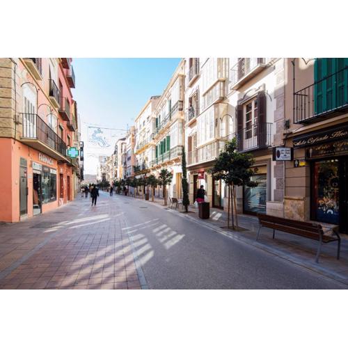 NEW FOR COUPLES Malaga Center Tour