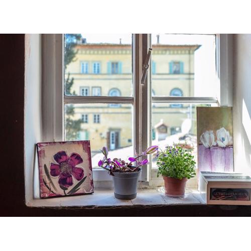 NEW! La Stanza in Villa