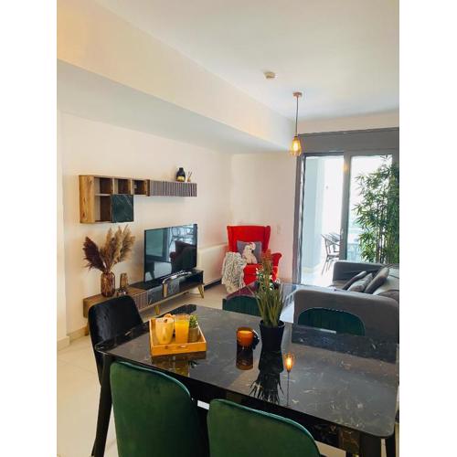 New Modern 2BD aprt with shared rooftop pool B2