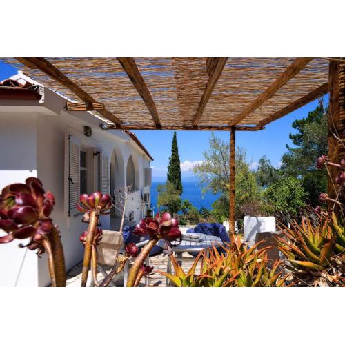 New! PaxosWhite Sea View Apartments & Studios!