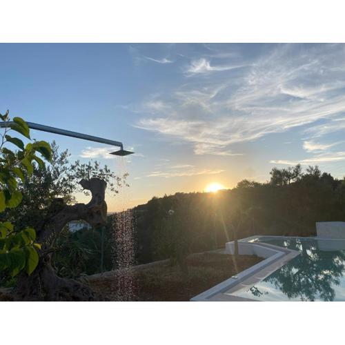NEW piscina coppa di fuoco