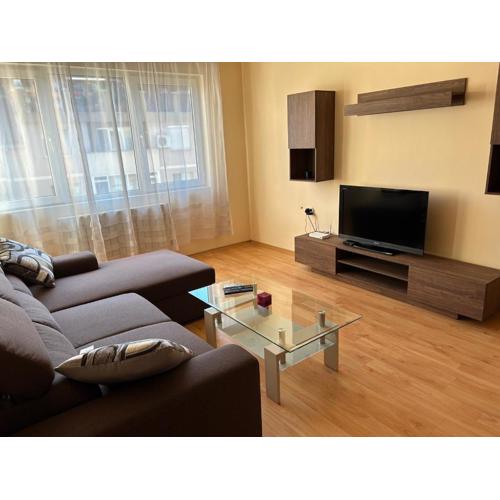 Nice, Spacious and Cozy Apartment