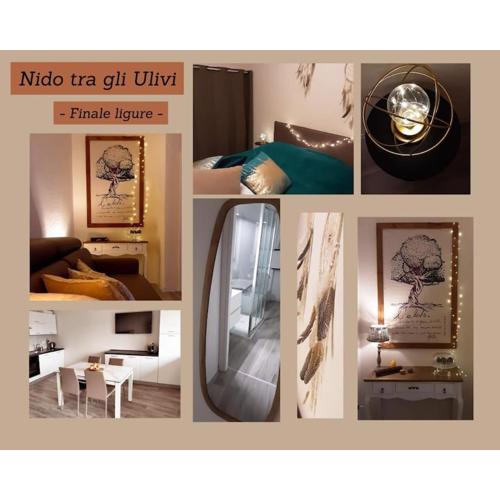 NIDO TRA GLI ULIVI