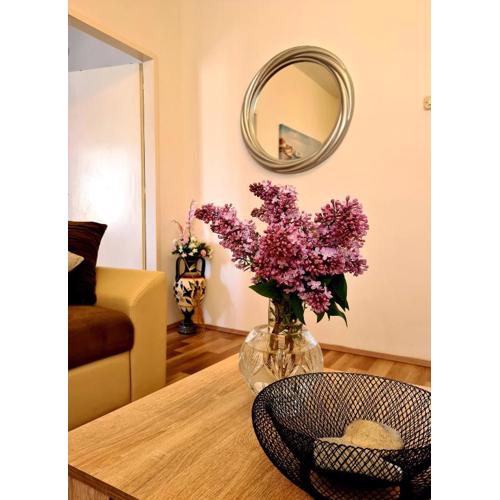 Nilaj Apartment