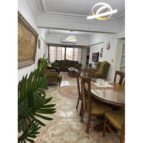 Nile view apartment