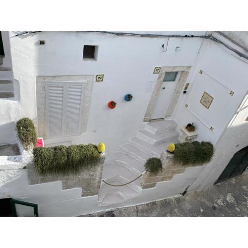 NiMa Suite