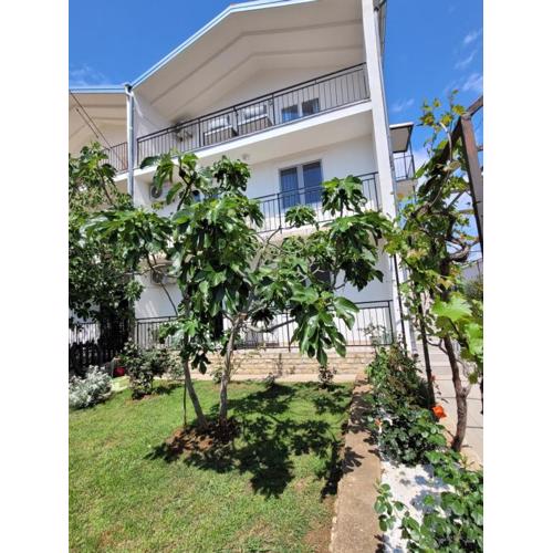 N&M apartments