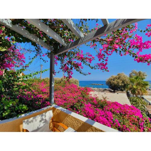 Nostos Beach