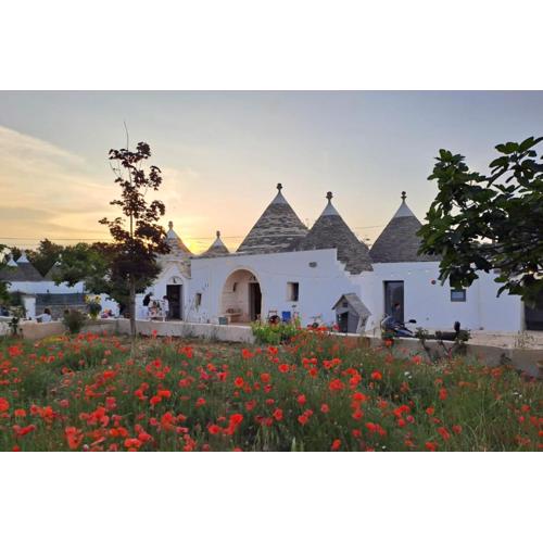 Nostos Trulli