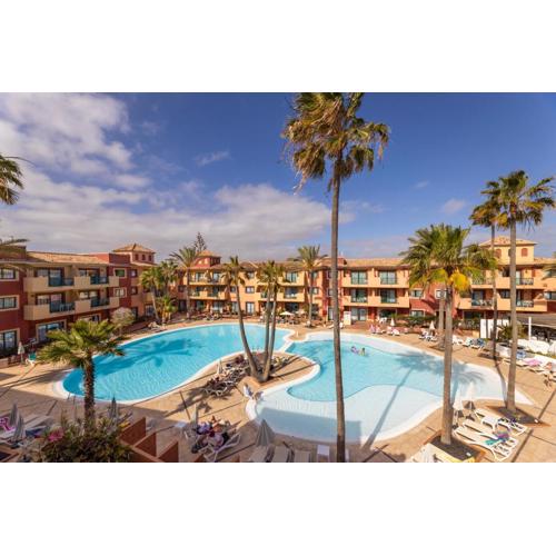 O7 Aloe Corralejo
