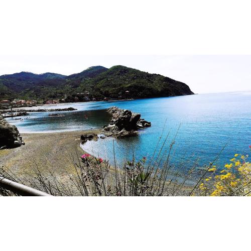 OASI FELICE