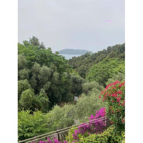 Oasi Verde 1