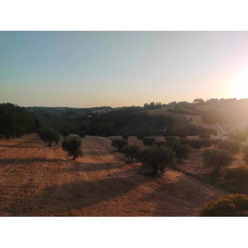 Oasi verde