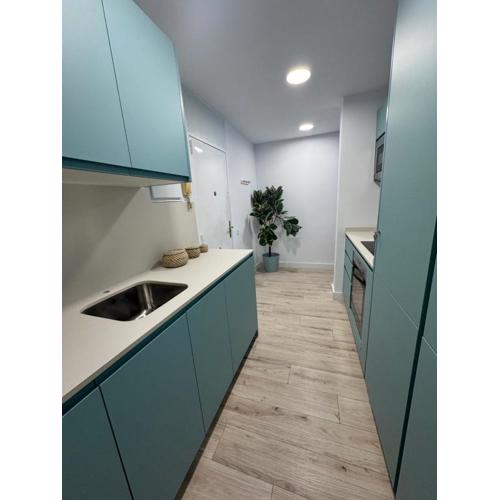 Oasis 29