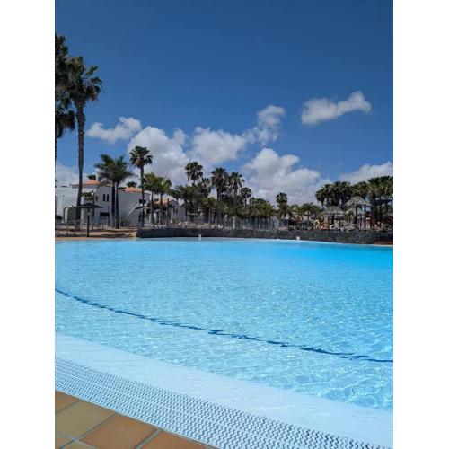 Oasis Bliss