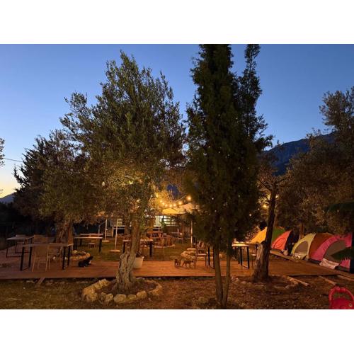 Oasis Camping