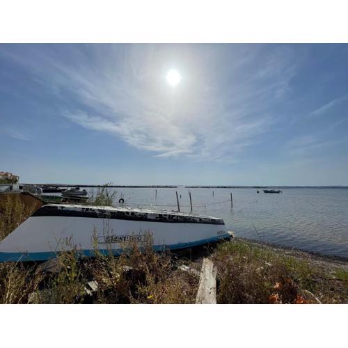 Oasis Cove, maisons au bord de l\
