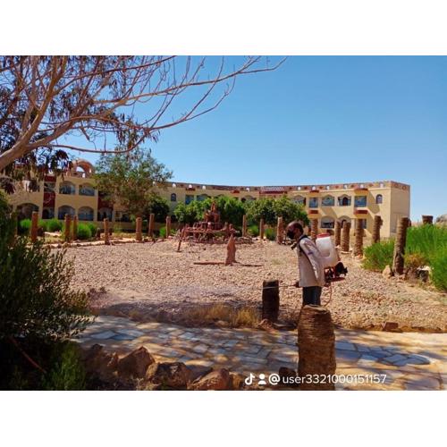 oasis panorama