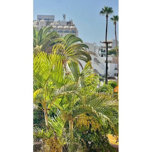 Ocean view apartment in Orlando