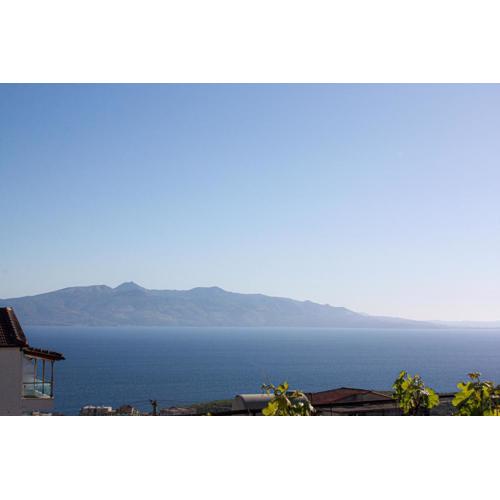 Oceanfront Outlook Rooms