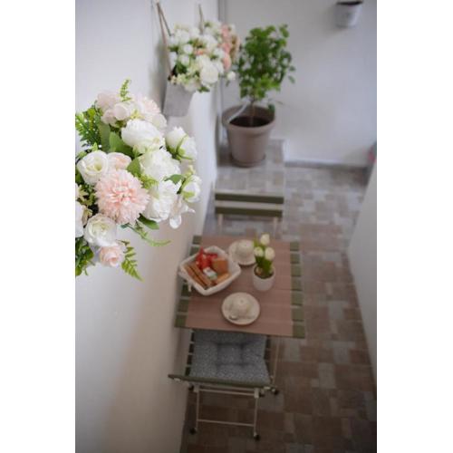 Ognina Soha Home 1