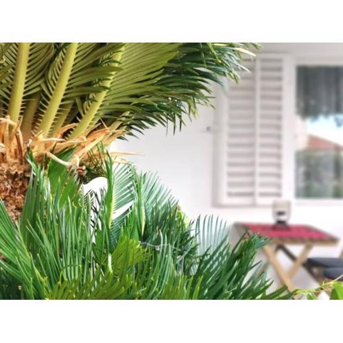 OK apartment-cosy and peaceful spot with private parking