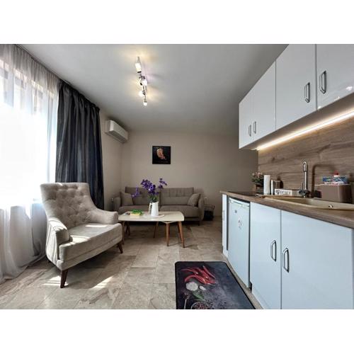 Old Town Apartment 3 with Free Private Parking
