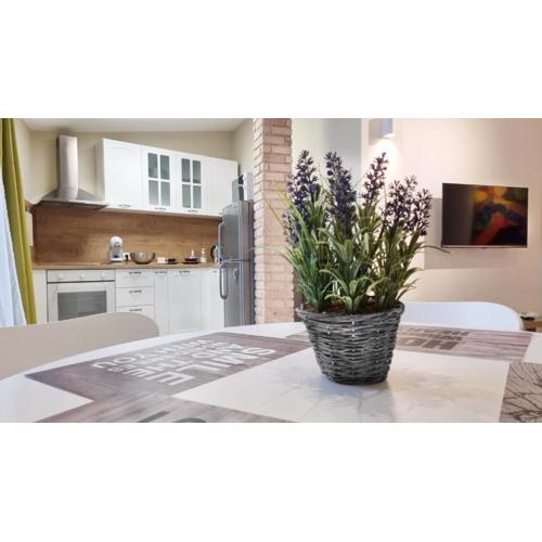 Old Town City Center Apartment