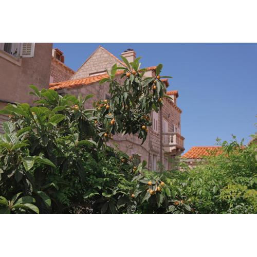 Old Town Green Oasis House