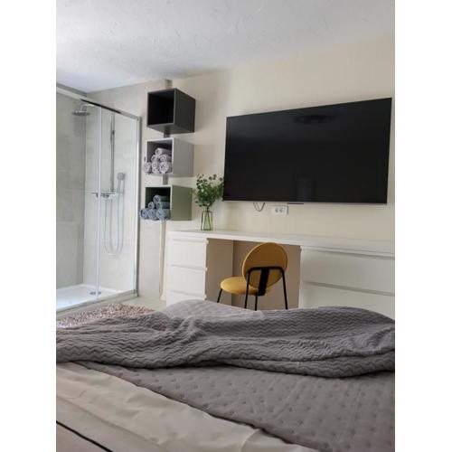 Old Town Sedlar Apartment
