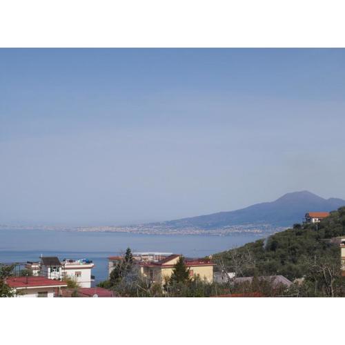 Olindo Apartment e Cristina Apartments