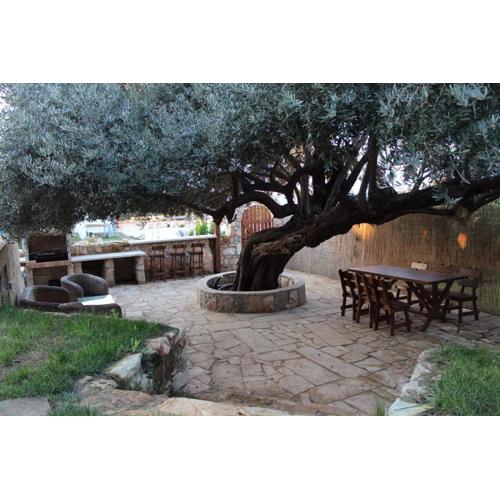 Olive Beach Villa