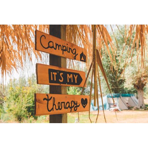 Olive Camping