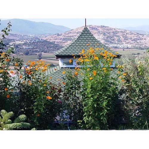 Olive Garden Retreat
