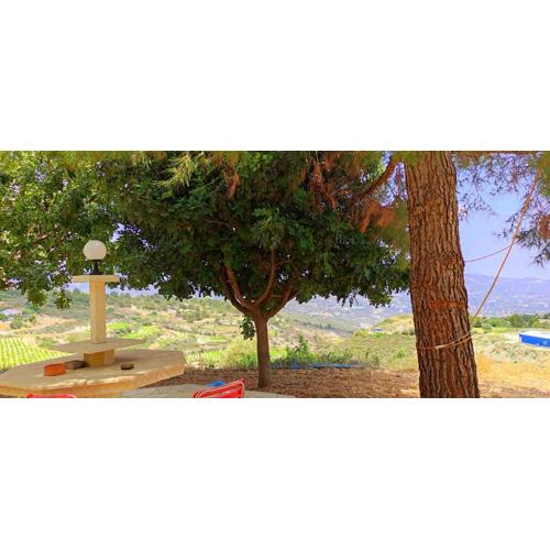Olive Grove Cottage Guest house