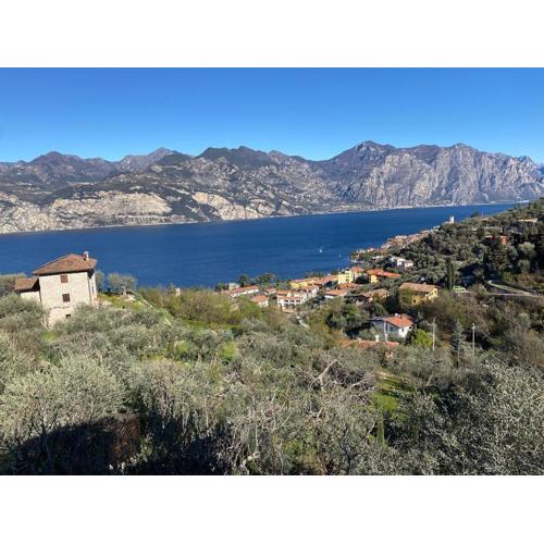 Olive Grove House