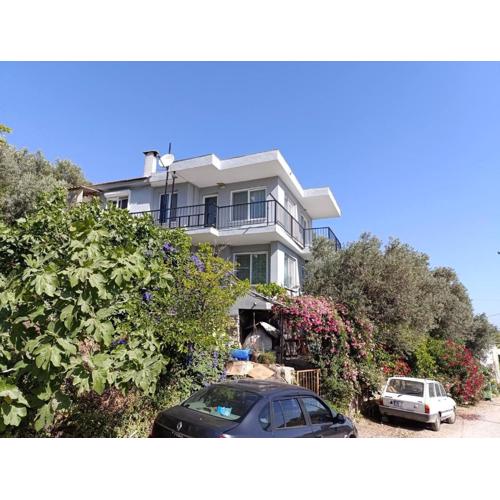 Olive grove mansion - kösedere village