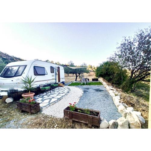 Olive Grove Mountain Caravan