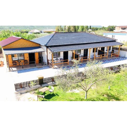 Olive Oasis Studio