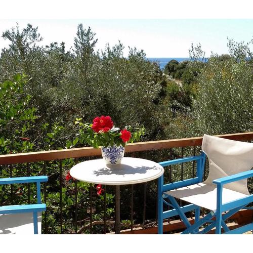 Olive tree Cottages