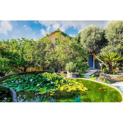 Olive tree Cottages