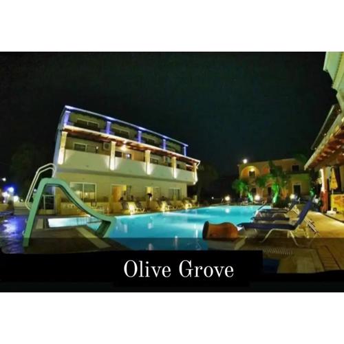 olivegrove