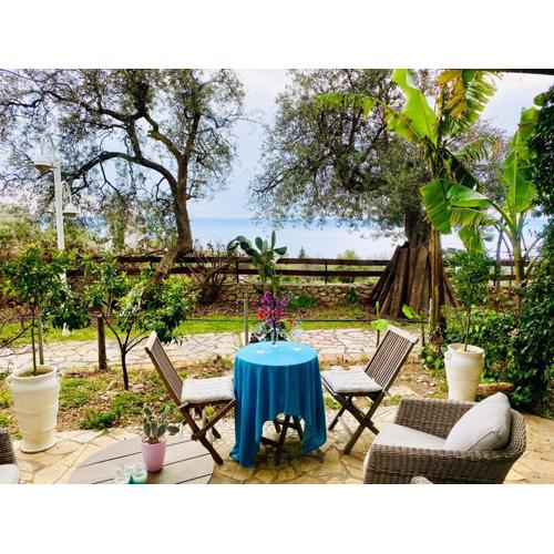 Olives Terrace B2A5 Apartment